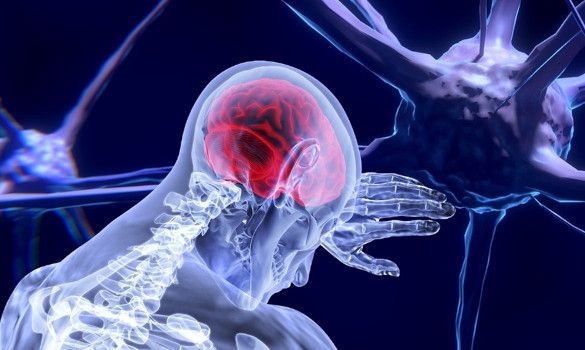 DU neurosciences la Réunion