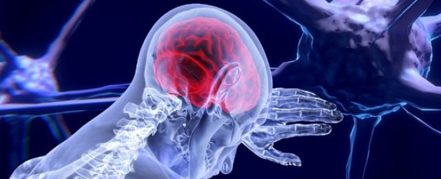 DU neurosciences la Réunion